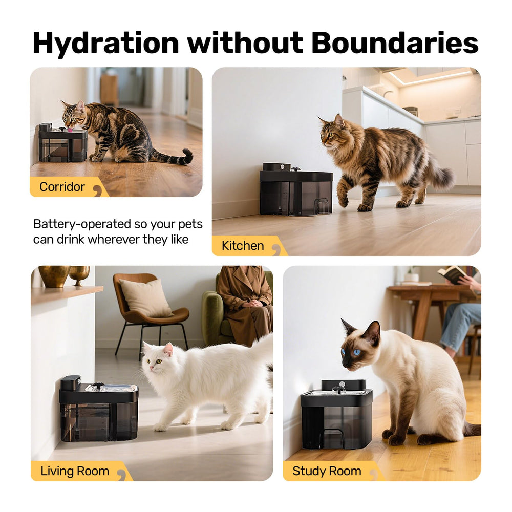Limpieza fácil: componentes de la fuente HAPAW para gatos.