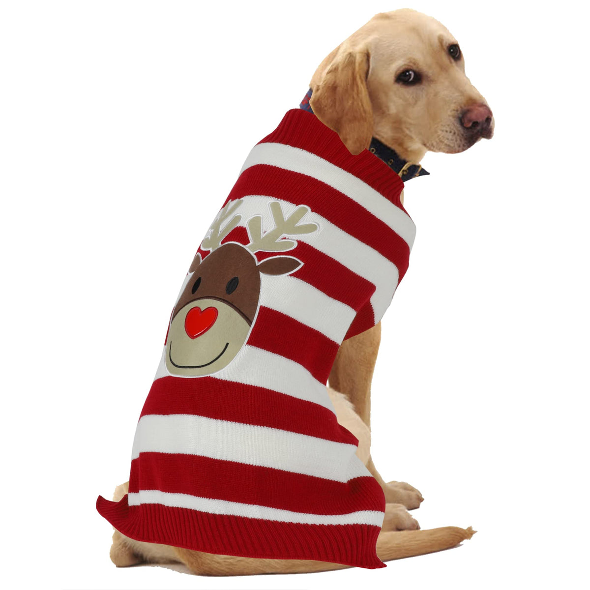 HAPPEE ciervo navideño para perro grande, abriga durante paseos fríos
