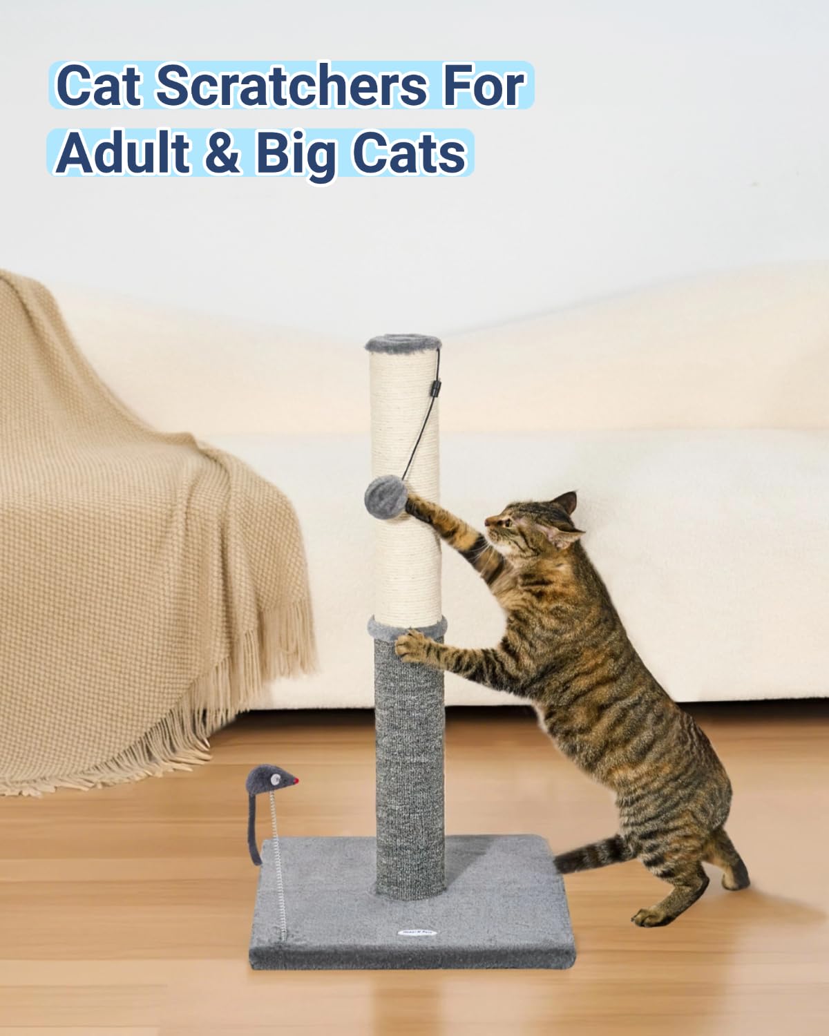 Diseño moderno y materiales duraderos de Happi N Pets.