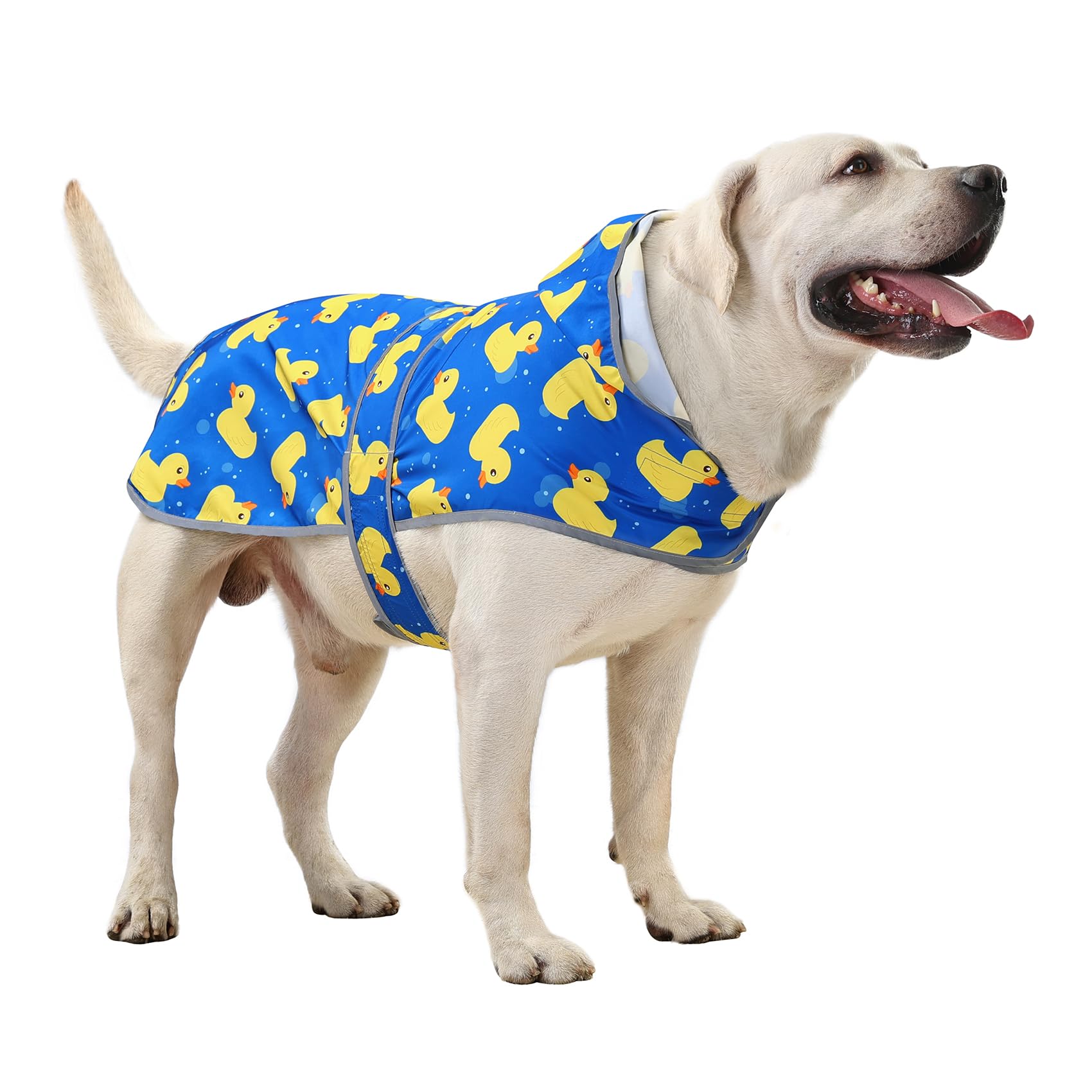 HAPPIERE capa-lluvia-capucha para perros XXL, protege contra la lluvia.