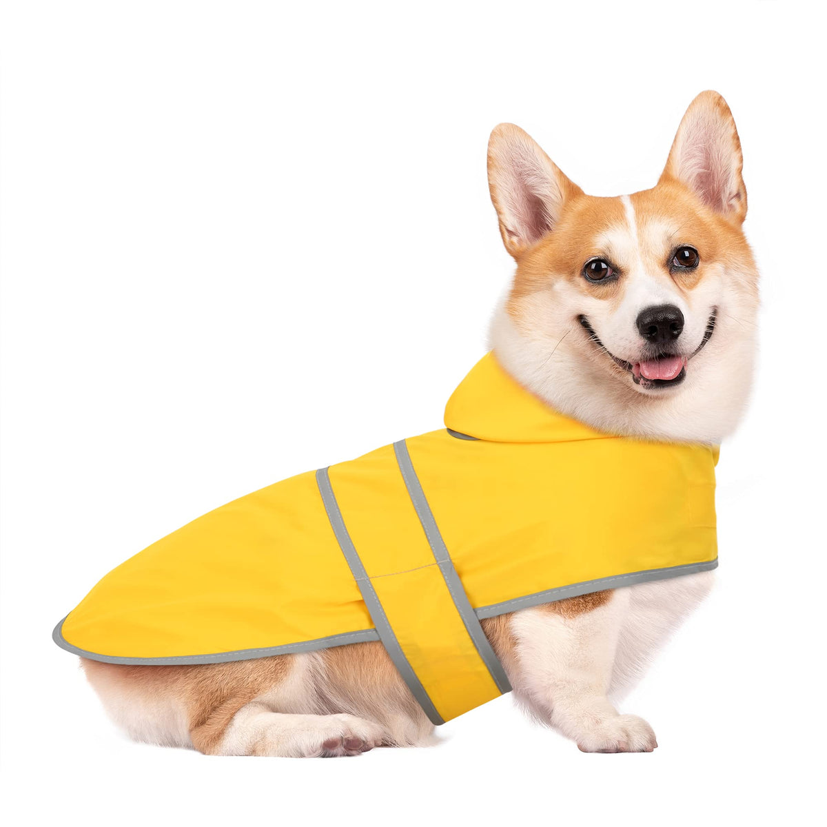 Capa de lluvia HAPPIERE para perro con ajuste cómodo para paseos diarios.