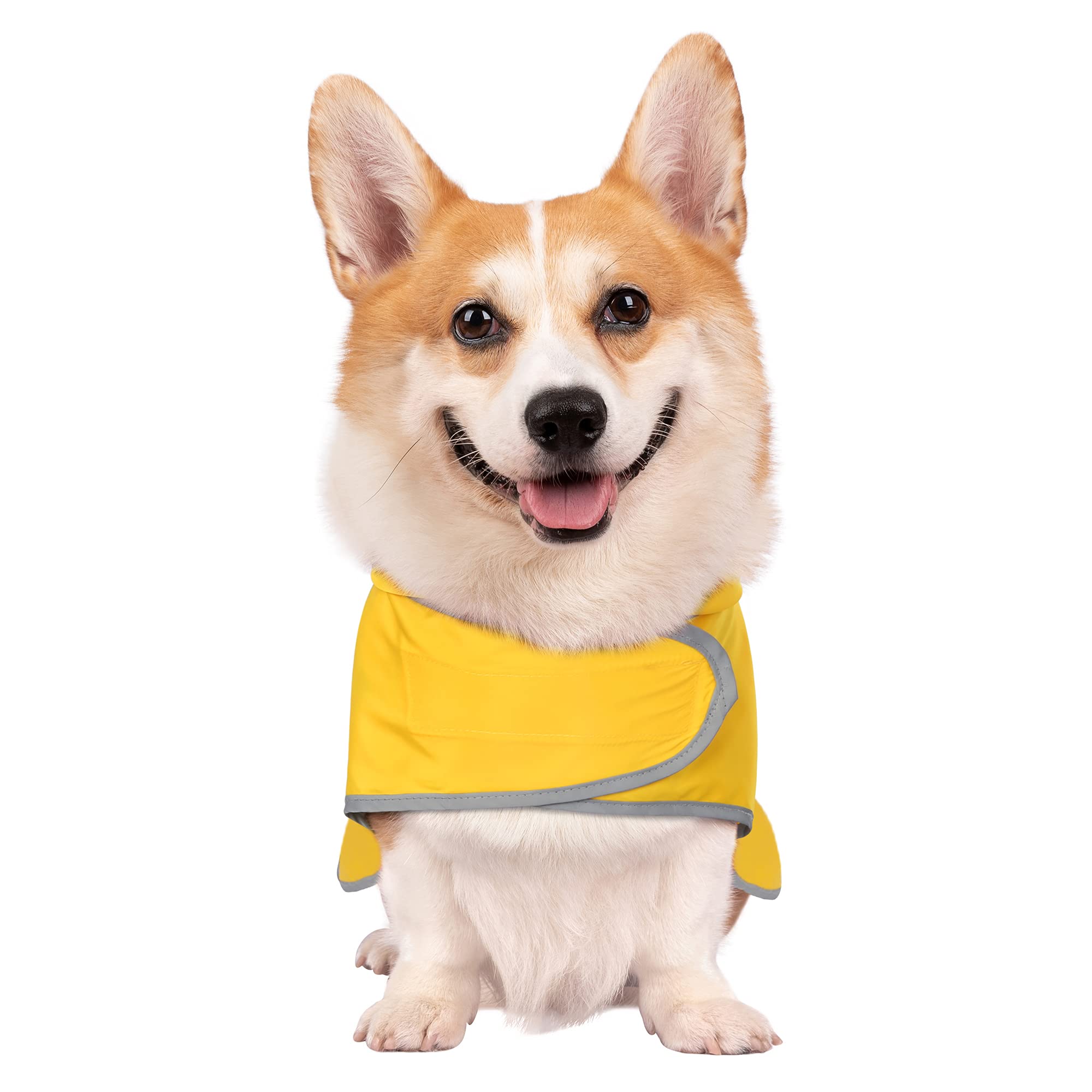 Capa de lluvia HAPPIERE para perro con capucha reflectante para mayor visibilidad nocturna.