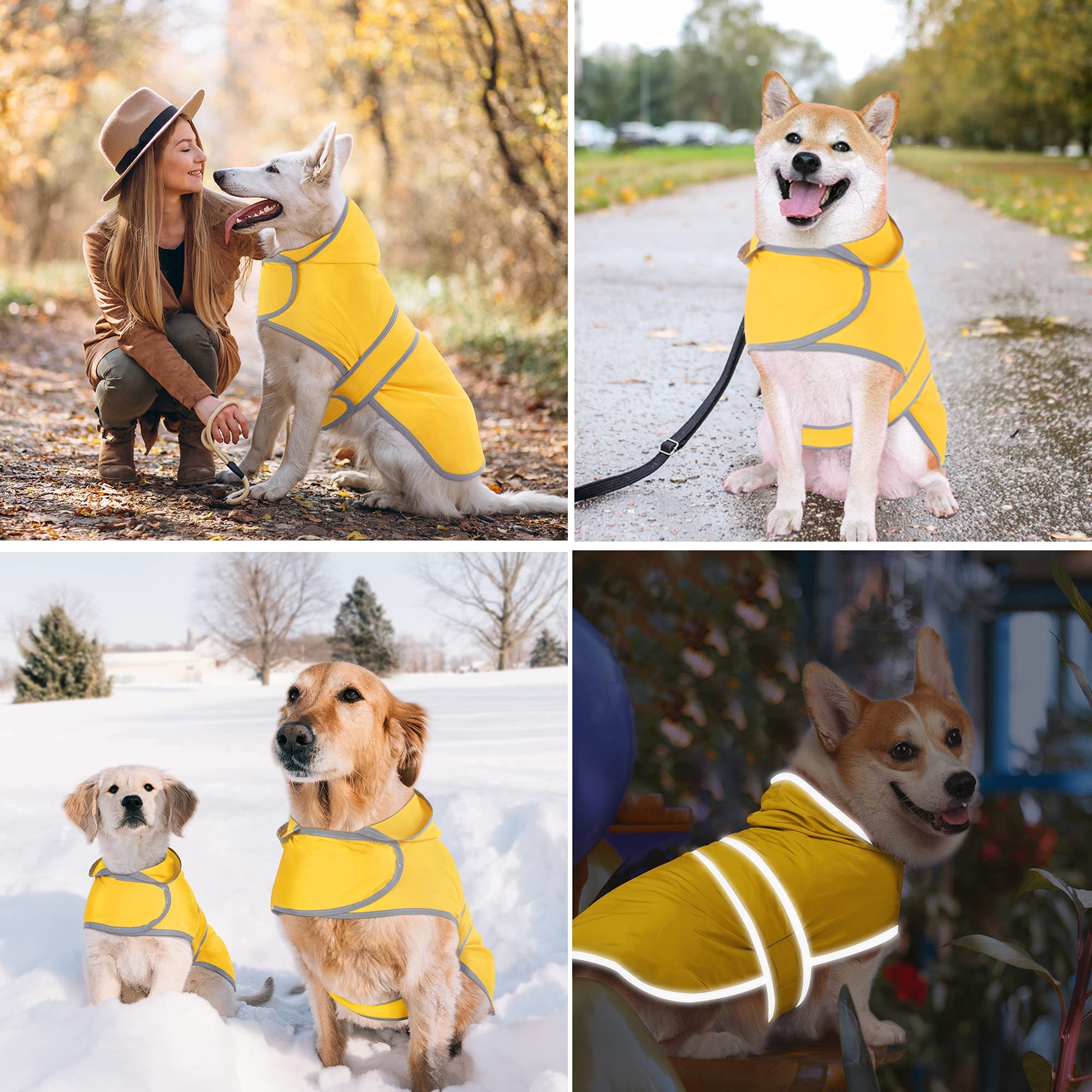 Diseño poncho HAPPIERE para perro con estilo y comodidad.