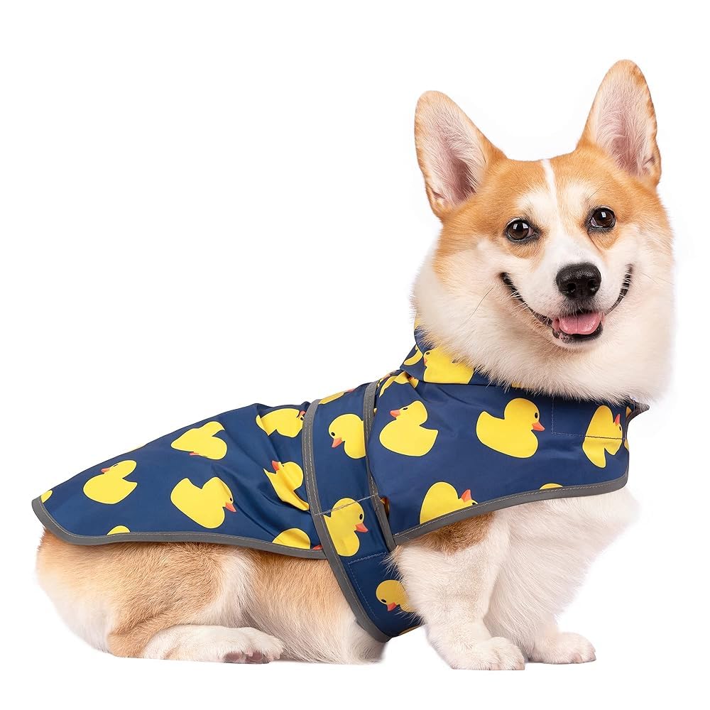 HAPPIERE capa de lluvia para perro mediano con capucha y ajuste cómodo para paseos