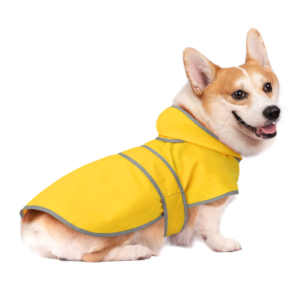 Paseo nocturno seguro con la capa de lluvia HAPPIERE para perro.