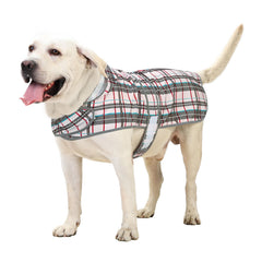 HAPPIERE capucha-reflectante para perro en lluvia, mayor visibilidad nocturna.