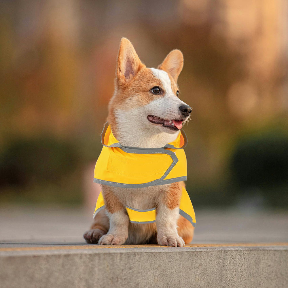 HAPPIERE chaqueta para perro grande, lavado fácil y mantenimiento sencillo.