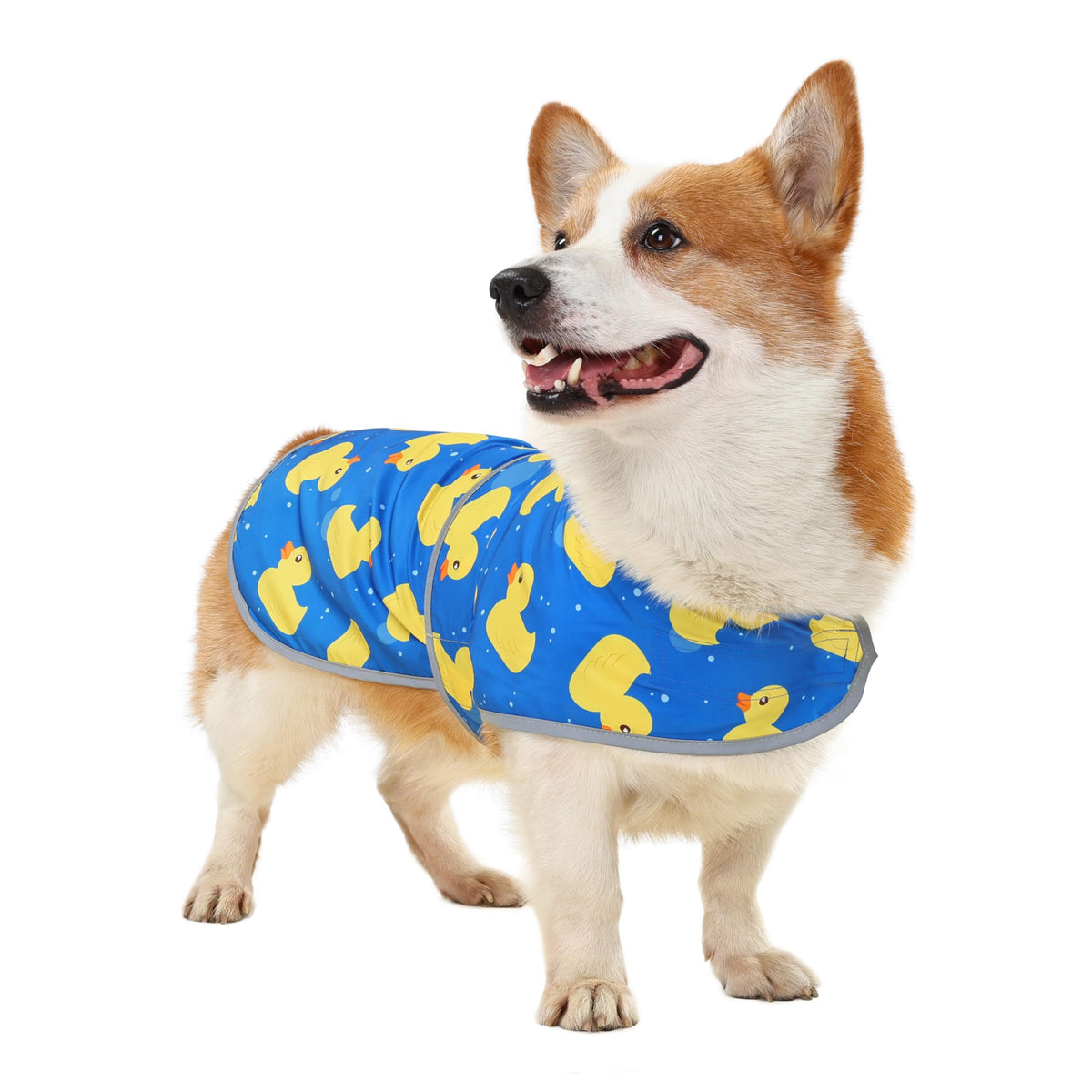 Chaqueta impermeable HAPPIERE para perro grande con capucha y tiras reflectantes para mayor visibilidad.