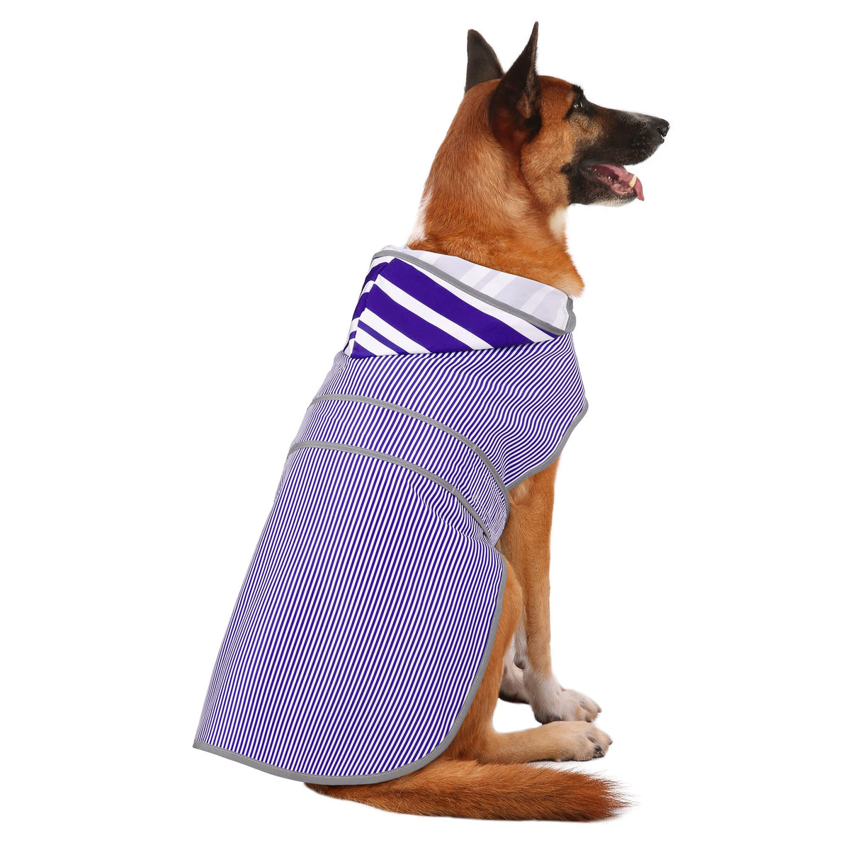 HAPPIERE chubasquero para perros con capucha Bluestripe XXL, ideal para paseos bajo lluvia