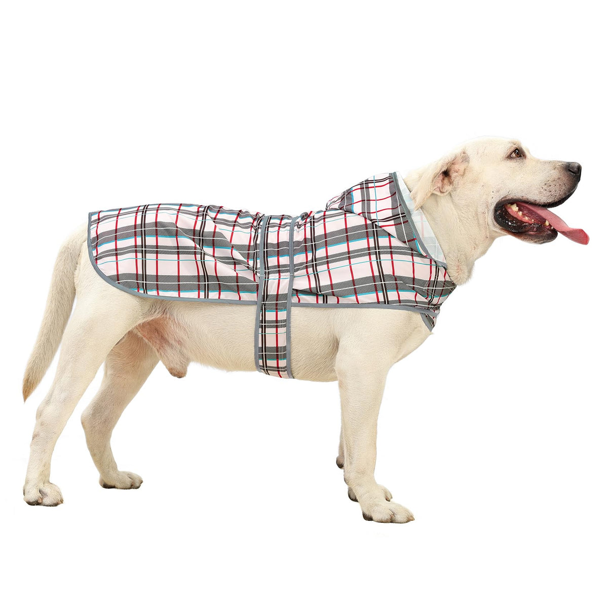 HAPPIERE chubasquero para perro grande en plaid XXL, ideal para paseos bajo lluvia.