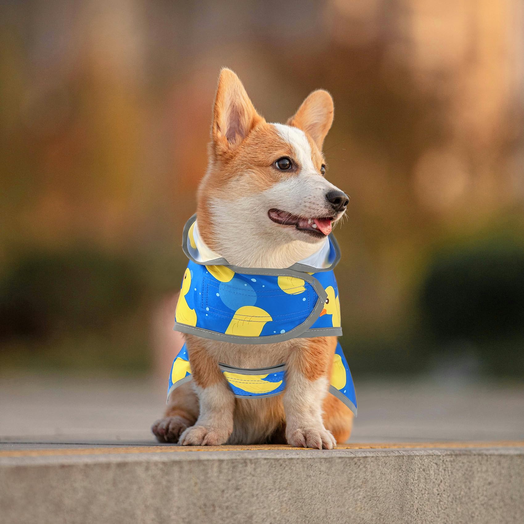 Diseño poncho de HAPPIERE que añade estilo a cada paseo.