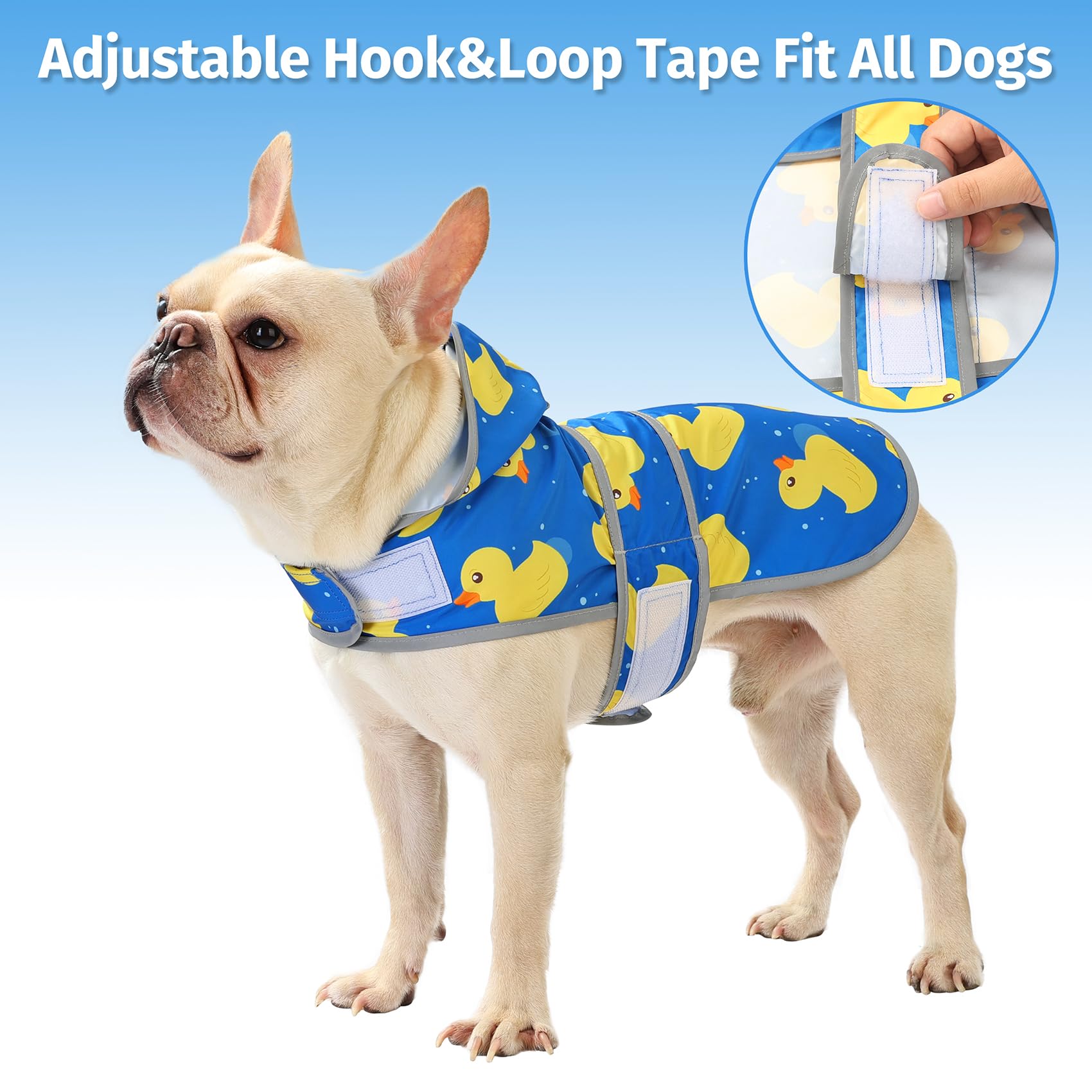 HAPPIERE impermeable con agujero para correa en la espalda, ideal para paseos