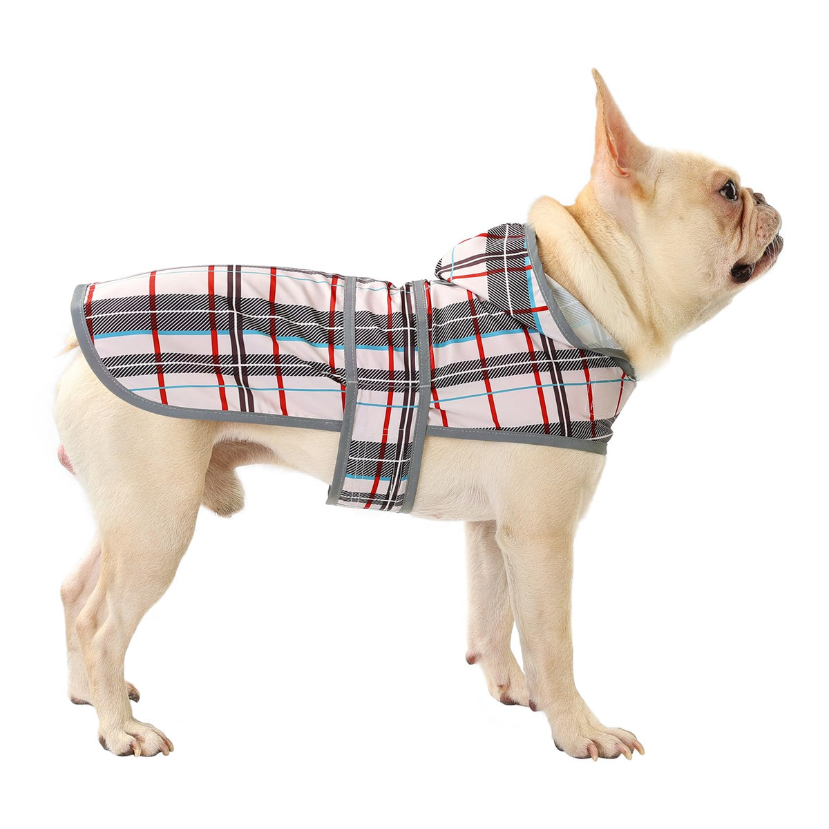 HAPPIERE impermeable para perro mediano con capucha reflectante para paseos nocturnos.