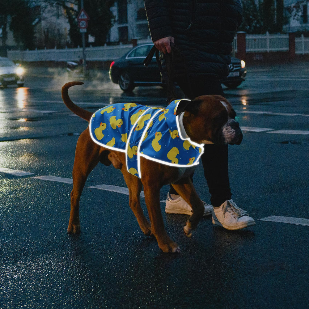 HAPPIERE poncho con estilo para perros durante paseos