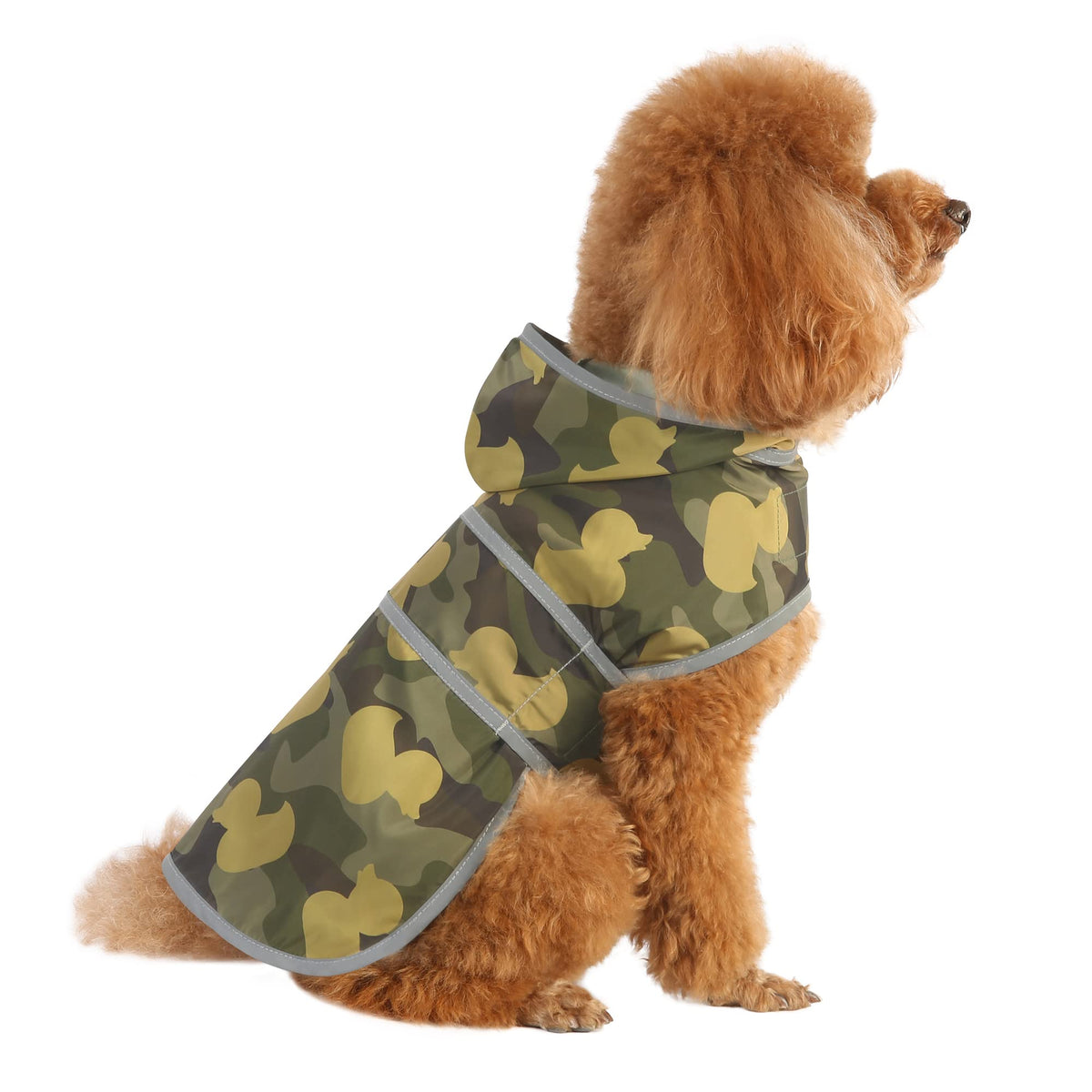 HAPPIERE impermeable para perros pequeños con capucha protege contra la lluvia.