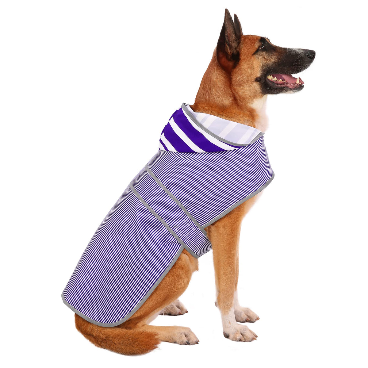 HAPPIERE chubasquero para perro grande con capucha azul y rayas, ideal para lluvia