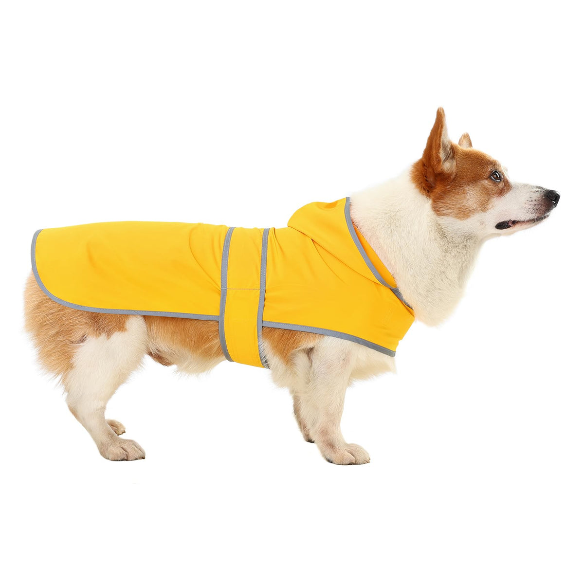 HAPPIERE impermeable para perros con capucha amarilla, protección ligera para paseos mojados.