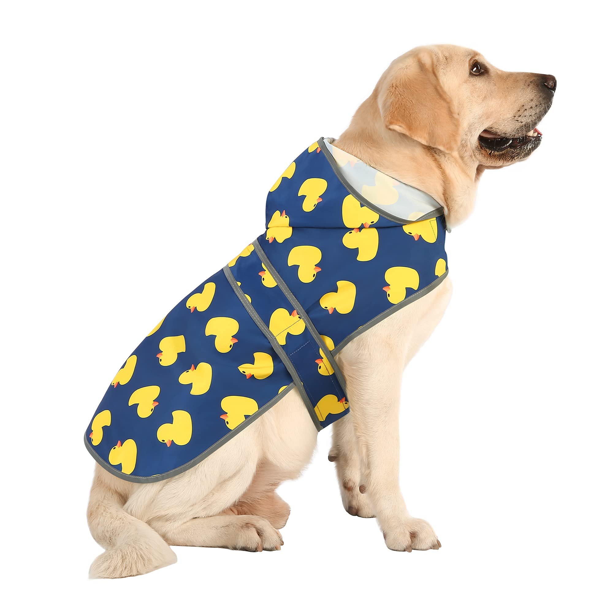 HAPPIERE capucha reflectante impermeable para perros grandes.