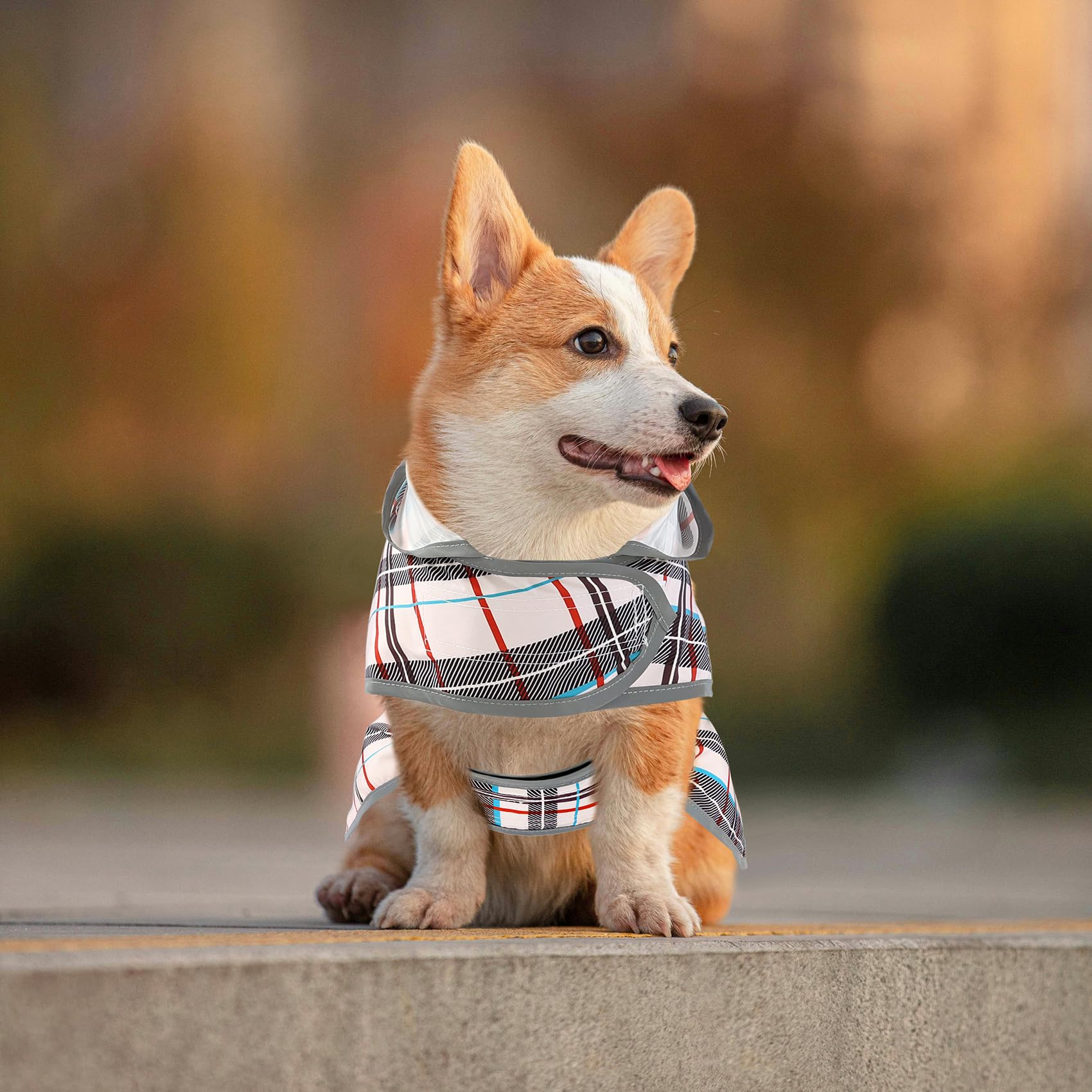 HAPPIERE poncho con estilo plaid, mantiene al perro cómodo y lindo.
