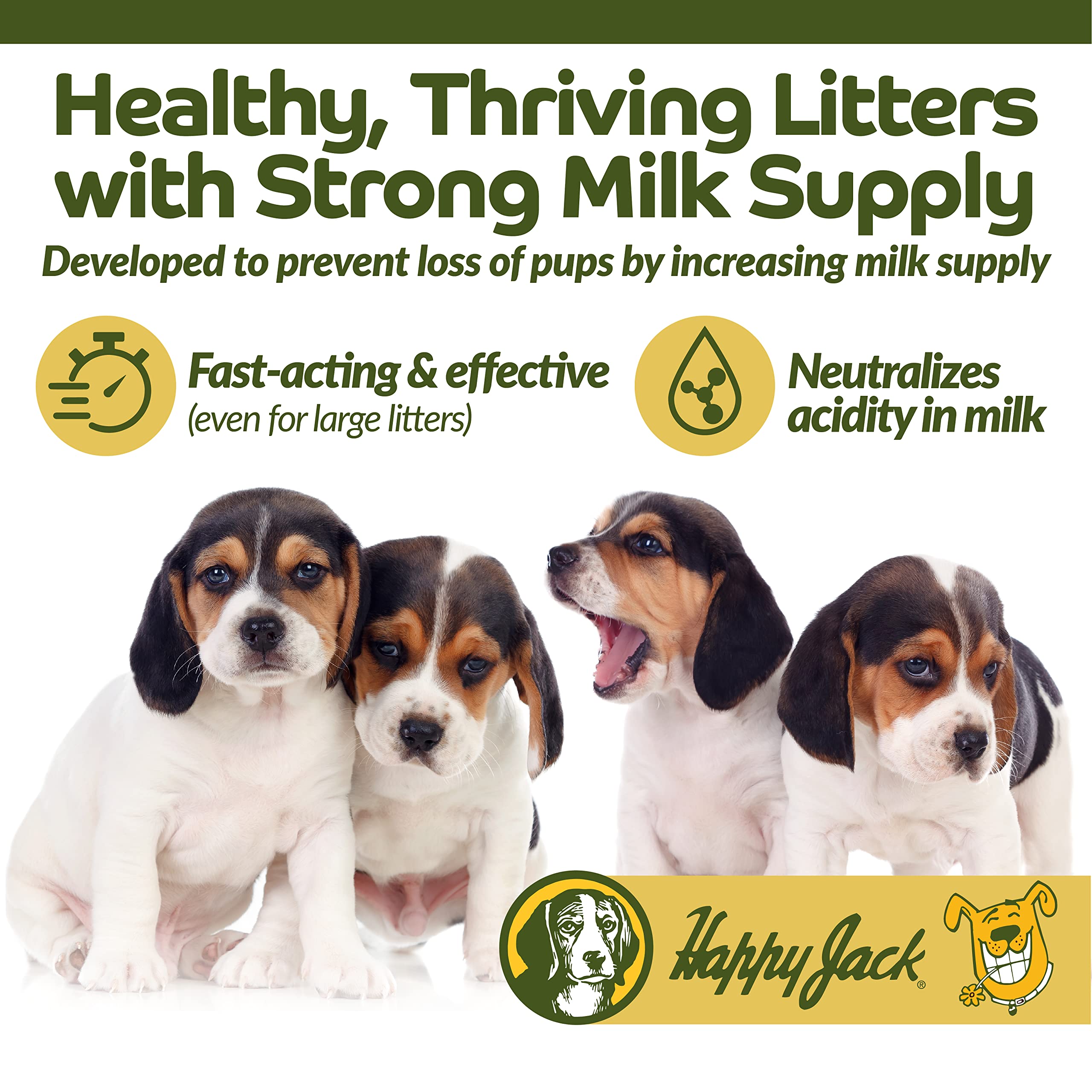 Milkade HAPPY JACK mezcla en agua para alimentar cachorros