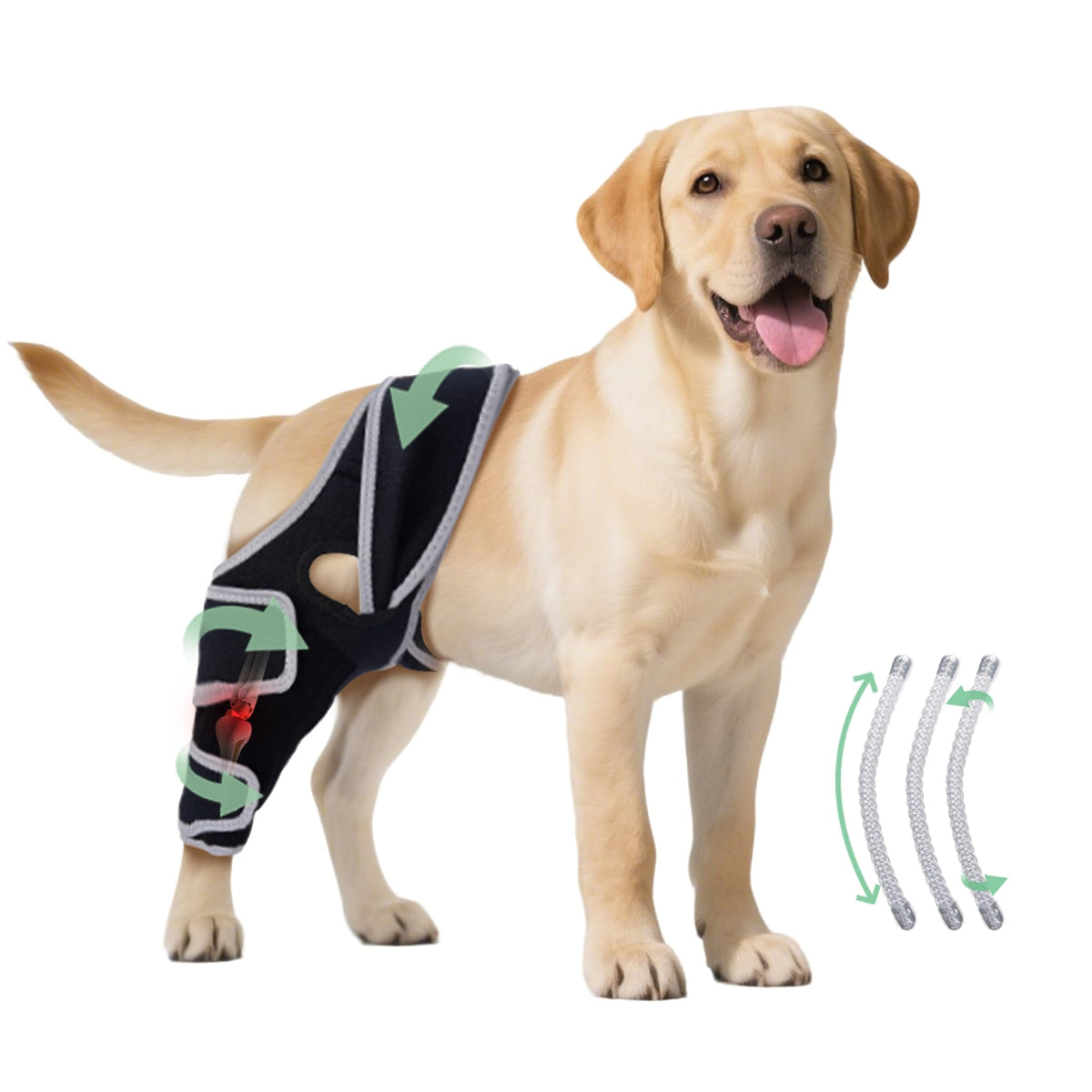 Rodillera HAPPYHAO para perro vista frontal, protege articulaciones durante paseos.
