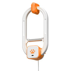 HAPPYCODE Juguete para gatos con pajaro flapante para ejercitar la caza interior.