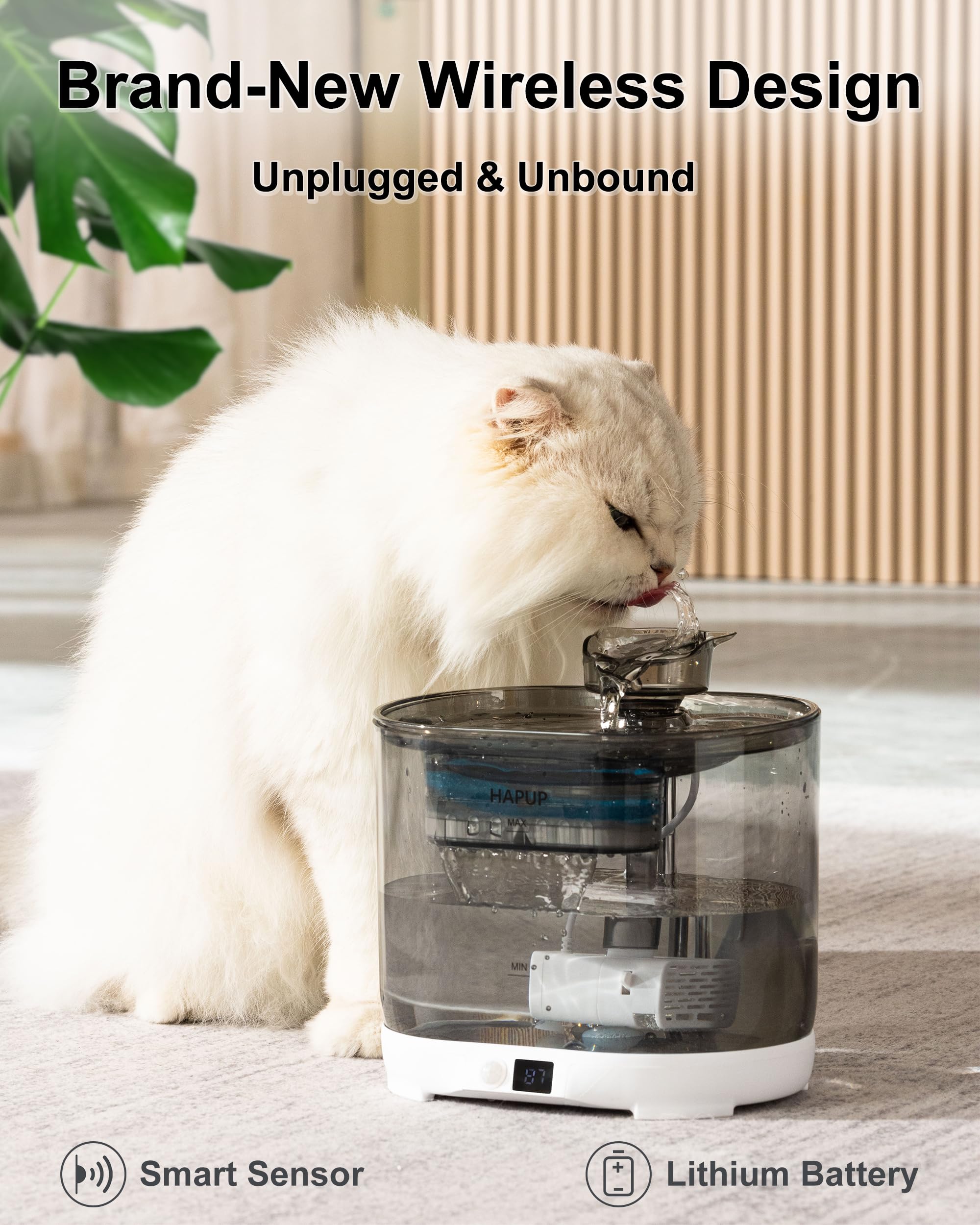 Detección de movimiento Hapup para encender/apagar al acercarse tu gato.