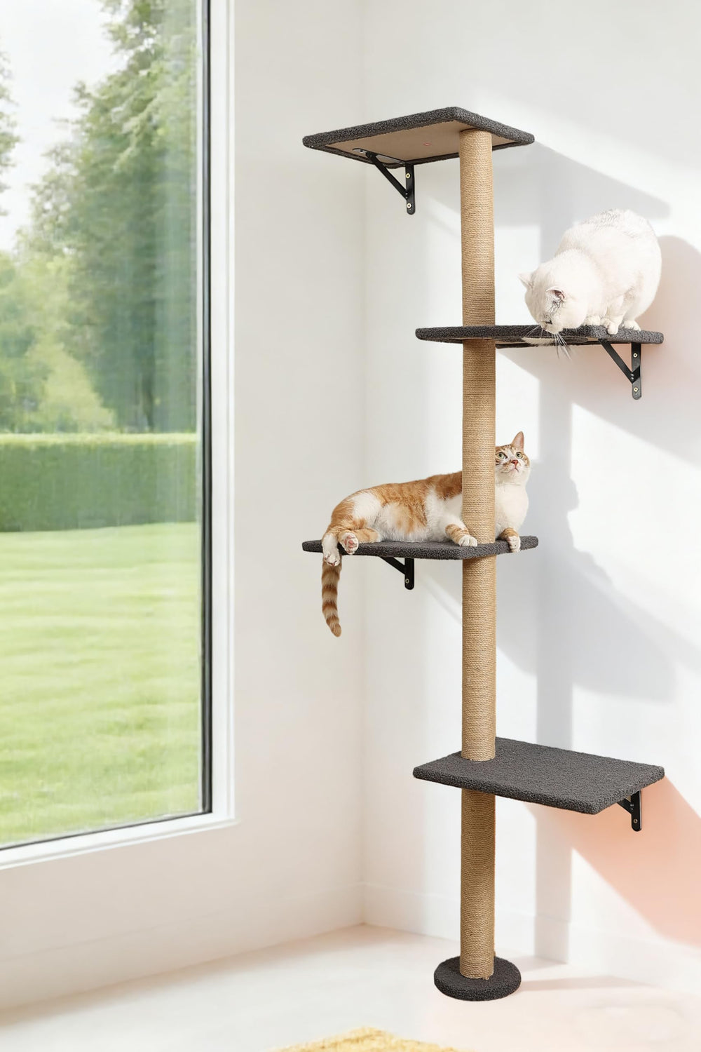 HAPYKITYS arbol-pared-gatos 4-niveles para trepar y vigilar desde la altura.
