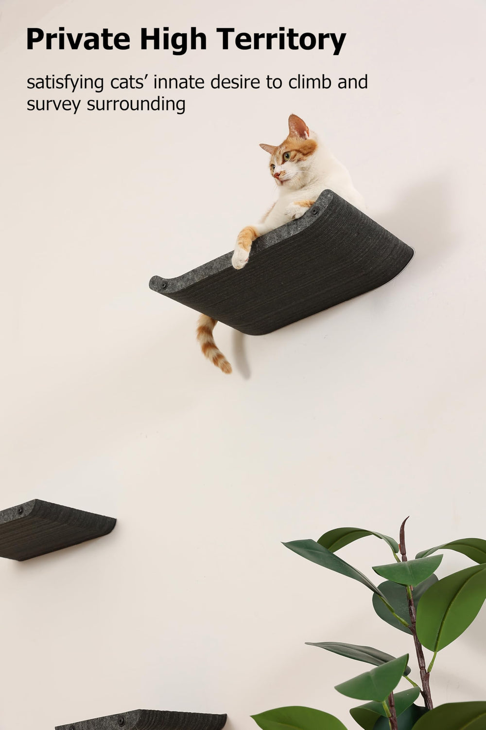 Diseño compacto HAPYKITYS para hogares pequeños, aprovecha el espacio vertical.