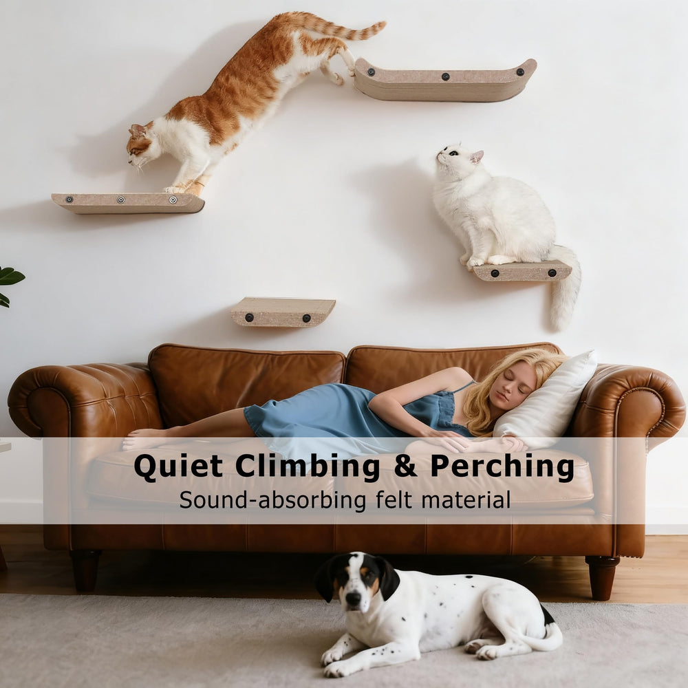 HAPYKITYS escalera para gato en pared: estructura sólida para juego seguro.