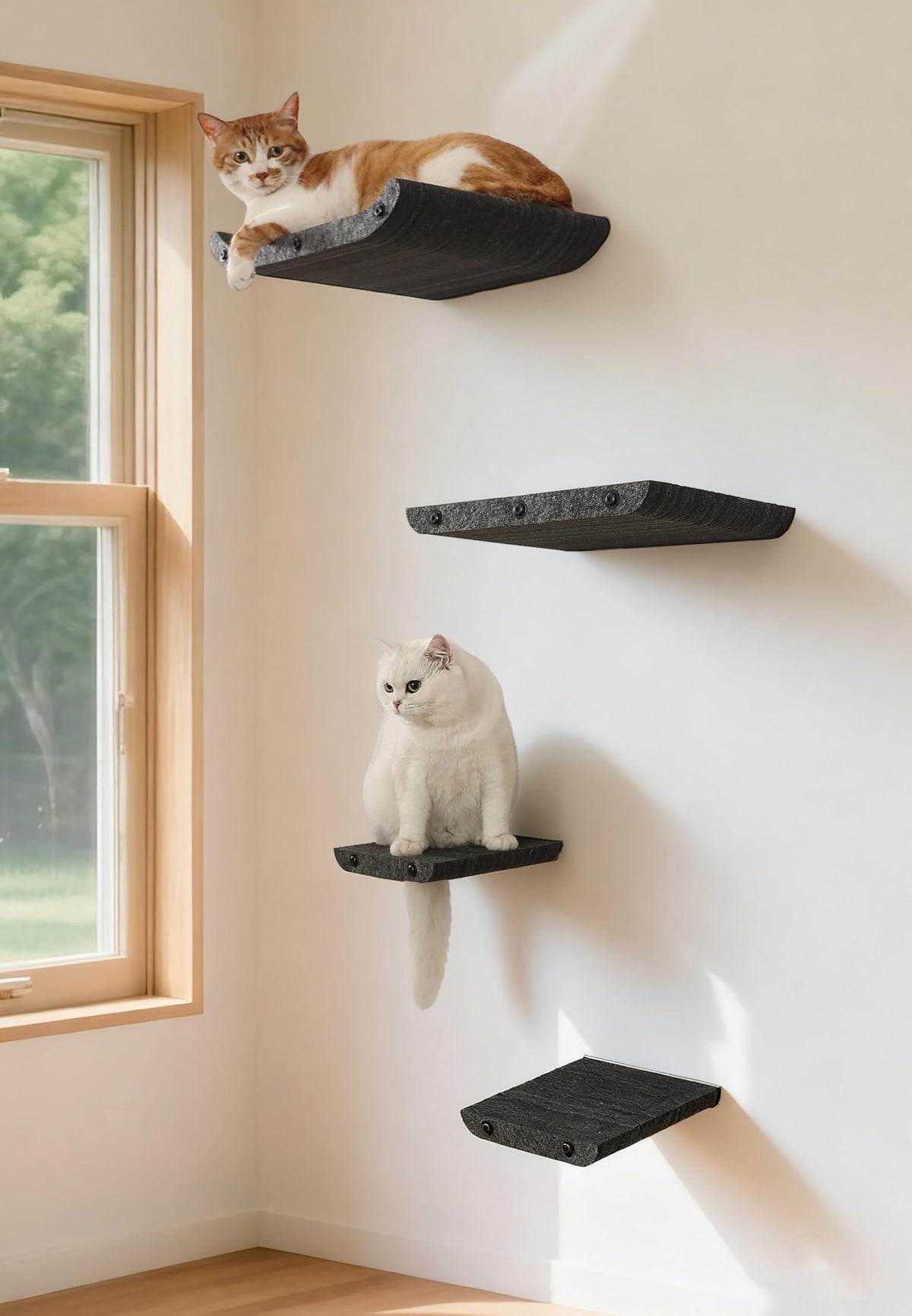 Estanterías de pared HAPYKITYS para gatos en conjunto de 4, gris, ahorro de espacio.