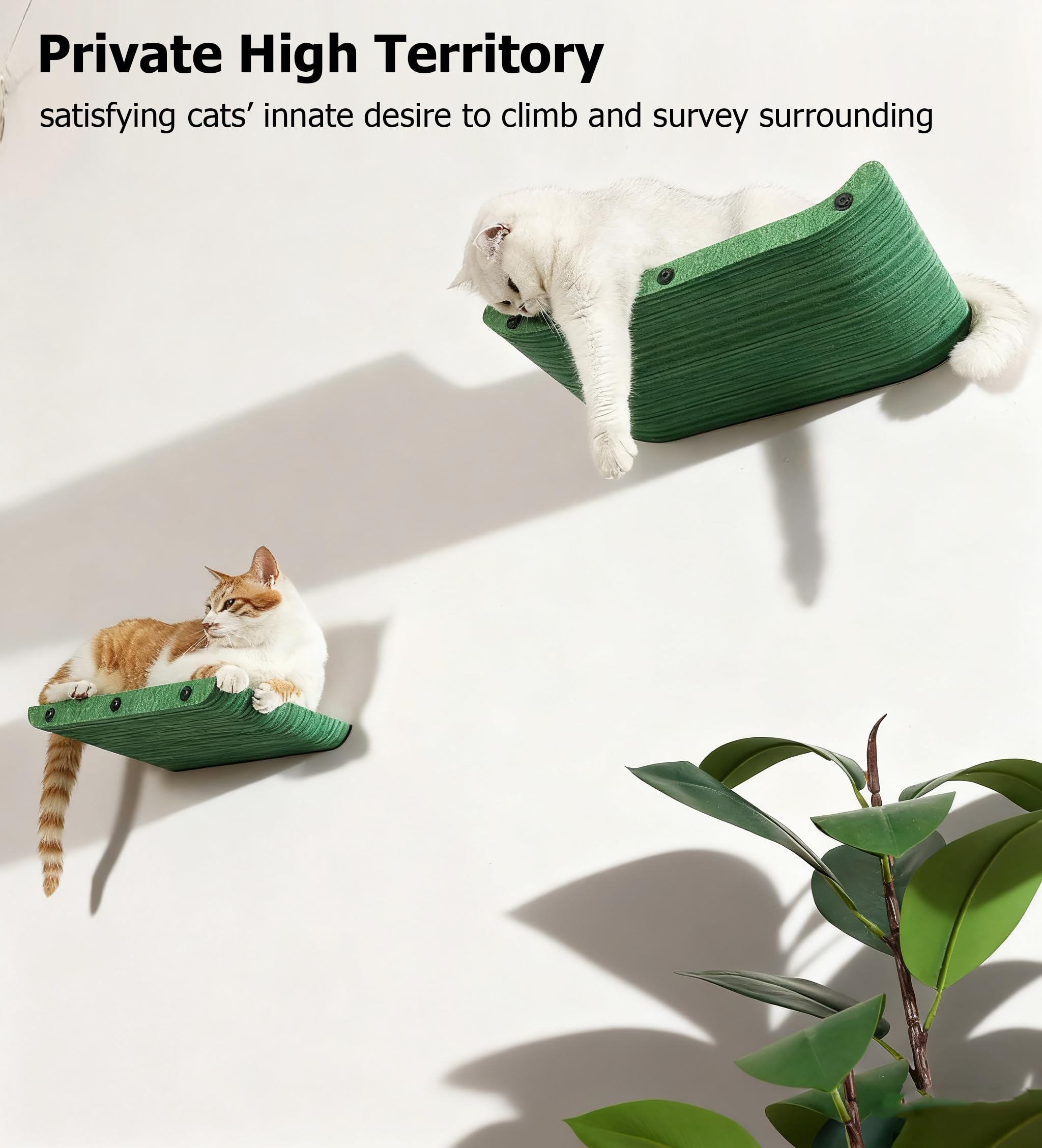 HAPYKITYS plataforma-pared-gatos para observación diaria