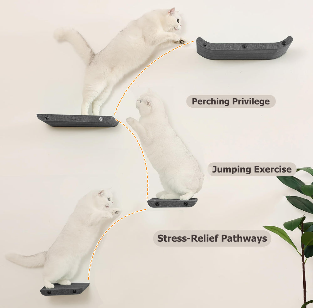 Estructura resistente HAPYKITYS para montajes en pared, admite varios felinos.