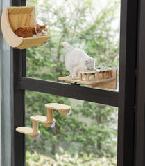 HAPYKITYS sujetadores-ventosa-ventana-gato ofrecen seguridad estable durante comidas o descanso.