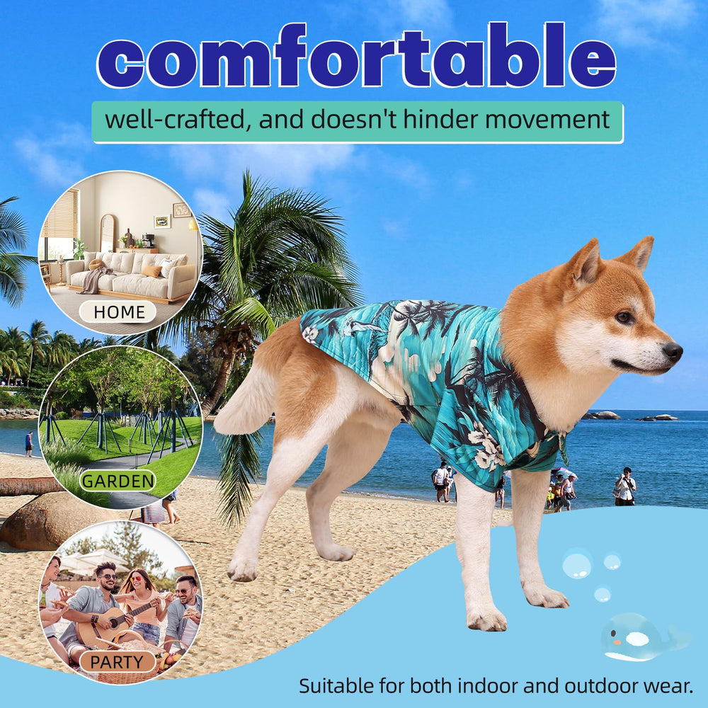 Harbyel conjunto a juego para perro y dueño.