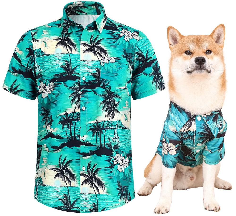 Camisetas Harbyel para perro con colores vibrantes, ideales para paseos con estilo.