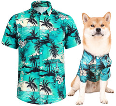 Camisetas Harbyel para perro con colores vibrantes, ideales para paseos con estilo.
