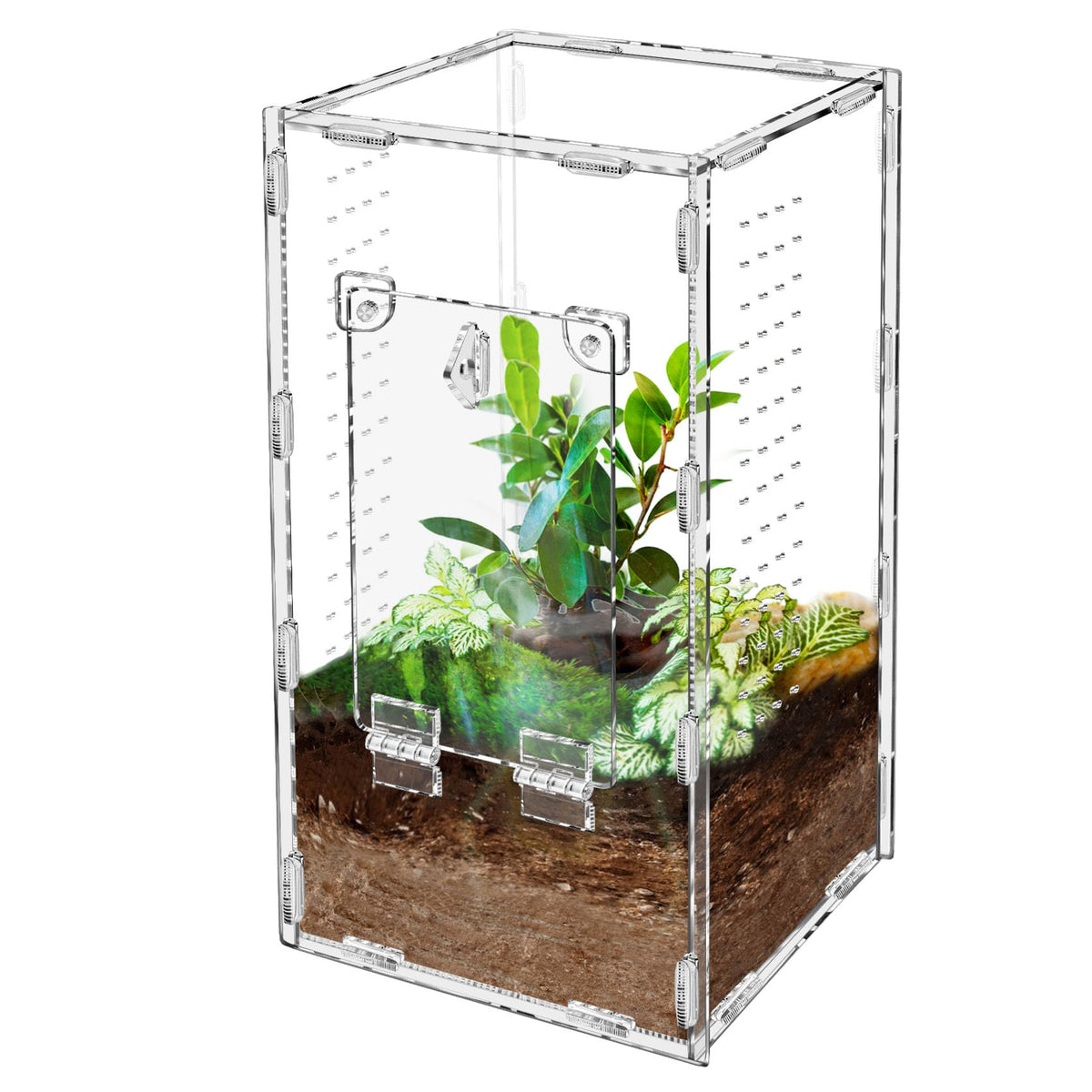 Harhana jaula para araña saltadora con puerta frontal imán para acceso seguro.