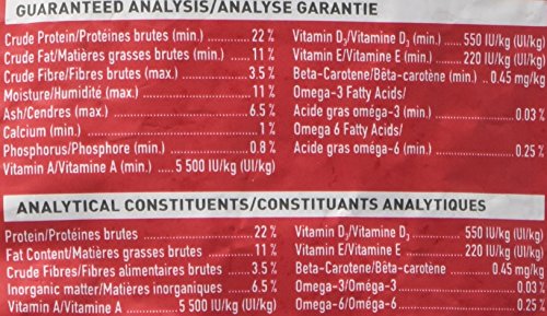 Hari Hagen Tropican: envase expuesto para mostrar producto de alto rendimiento para loros grandes.