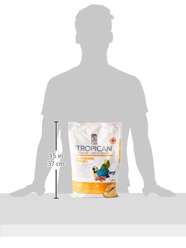 Alimento para guacamayas, sabor nutritivo para crecimiento juvenil.