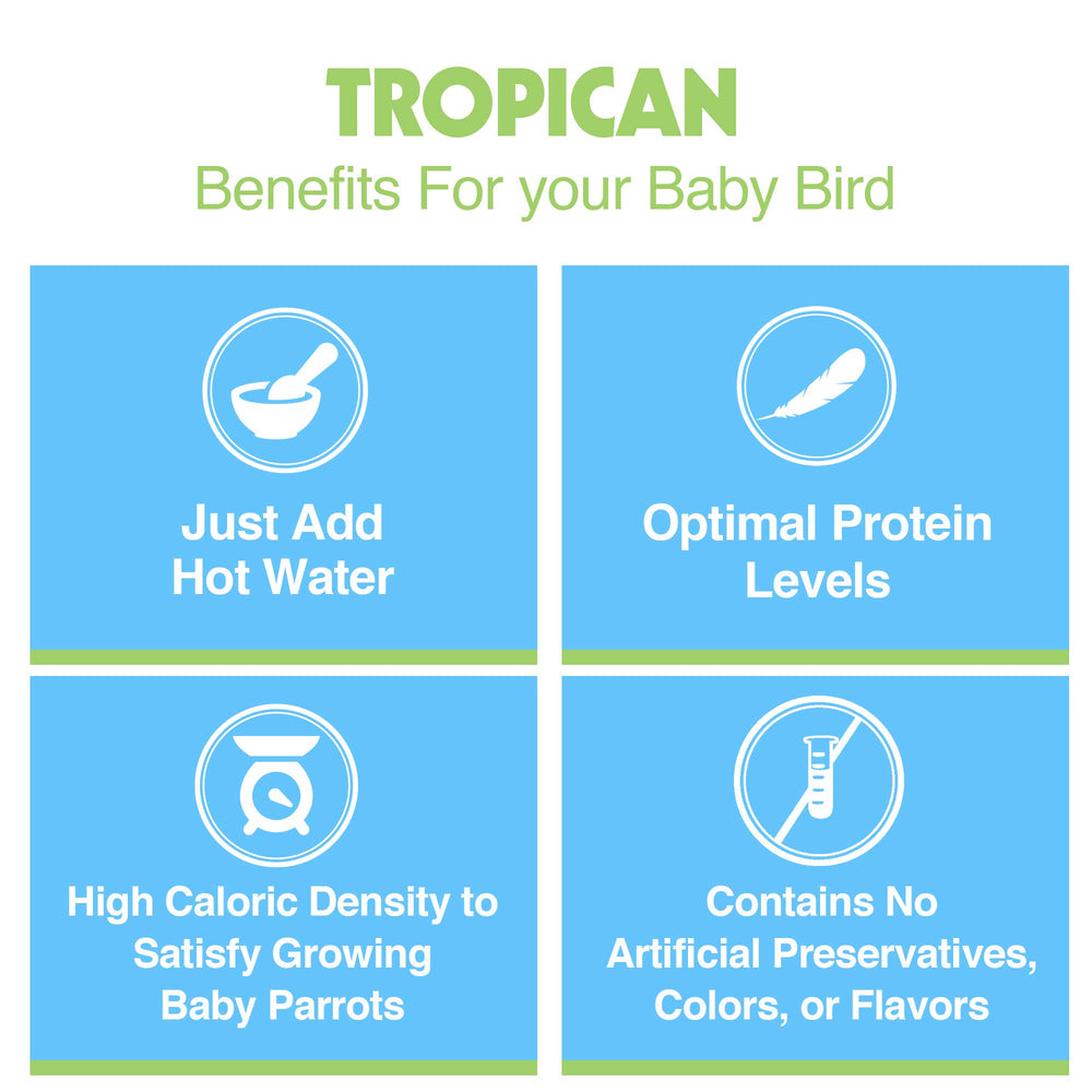 Uso seco para pajaros pequeños, mantiene valor nutricional durante el aprendizaje.