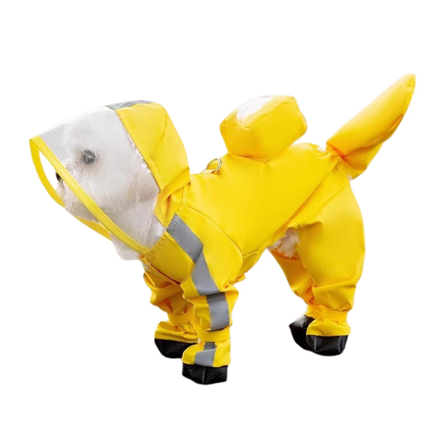 Harikaji capa lluvia para perro pequeño, vista frontal, mantiene patas secas y protegidas.