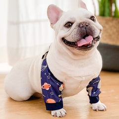 Harikaji protector codo perro con cierre plástico para ajuste seguro.