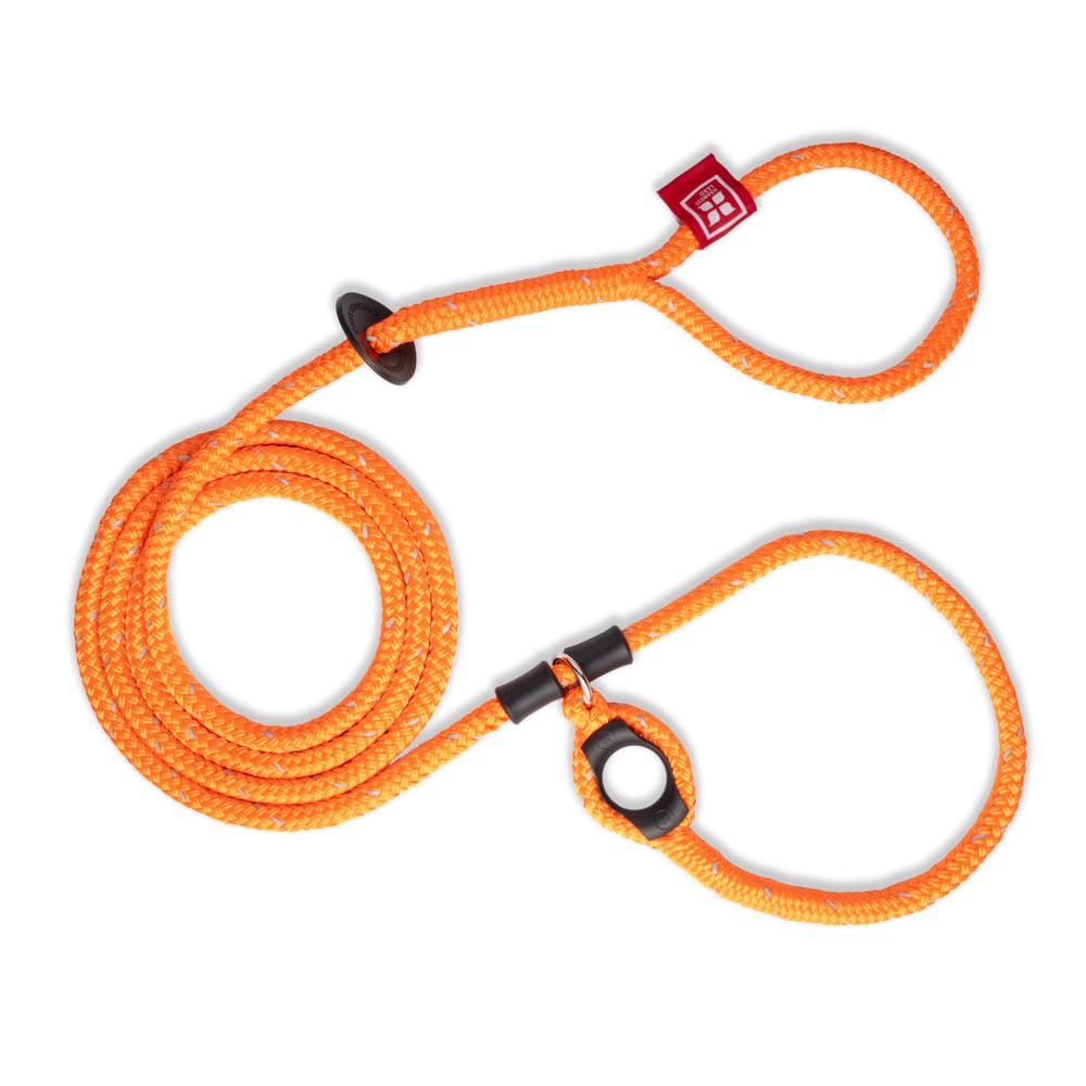 Harness Lead: correa anti-tirones frontal para paseos más tranquilos.
