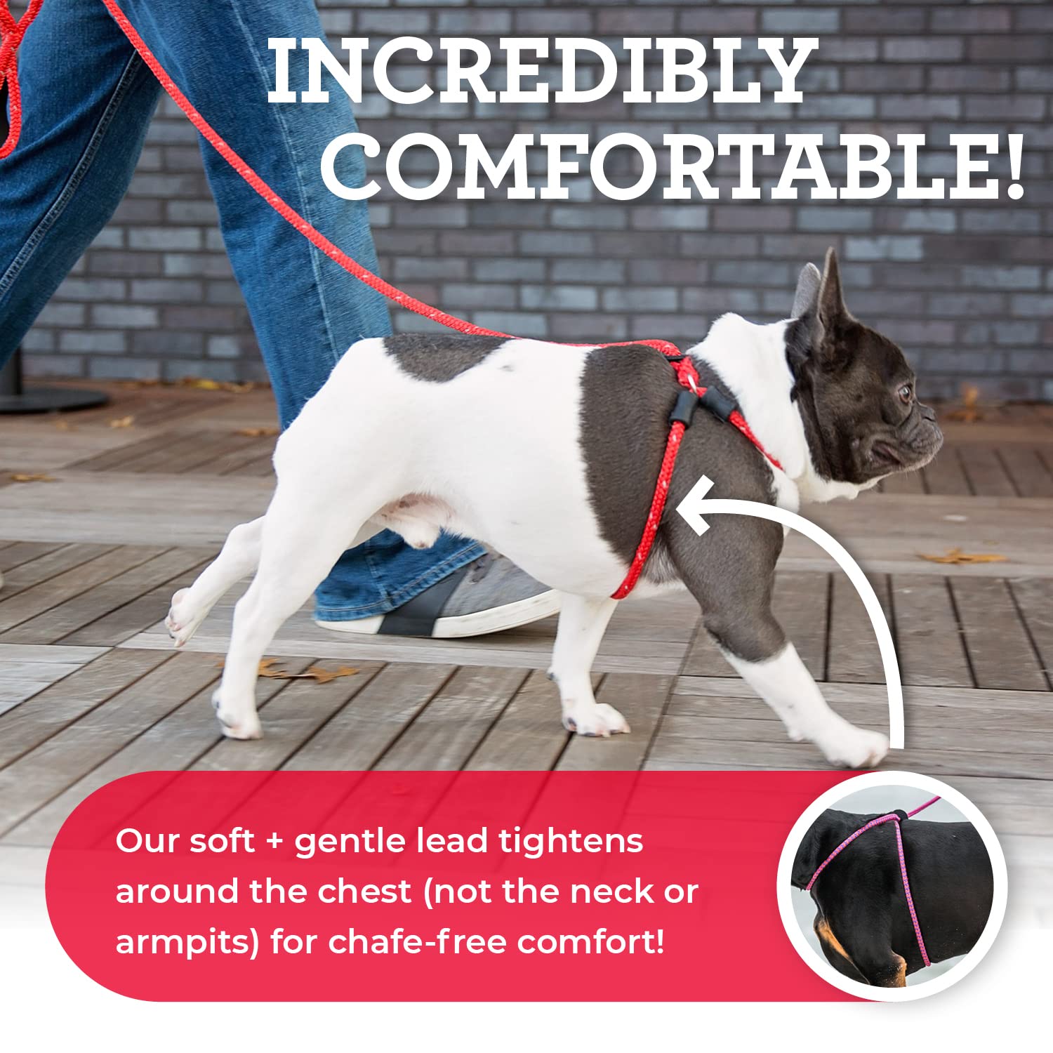 Harness Lead diseño anti-escape de una pieza para perros activos