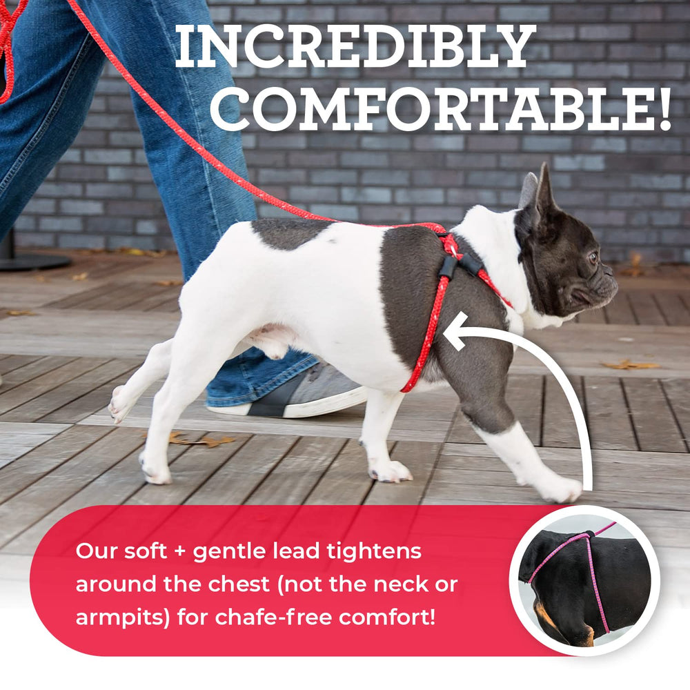 Harness Lead diseño anti-escape de una pieza para perros activos