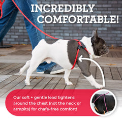Harness Lead diseño anti-escape de una pieza para perros activos