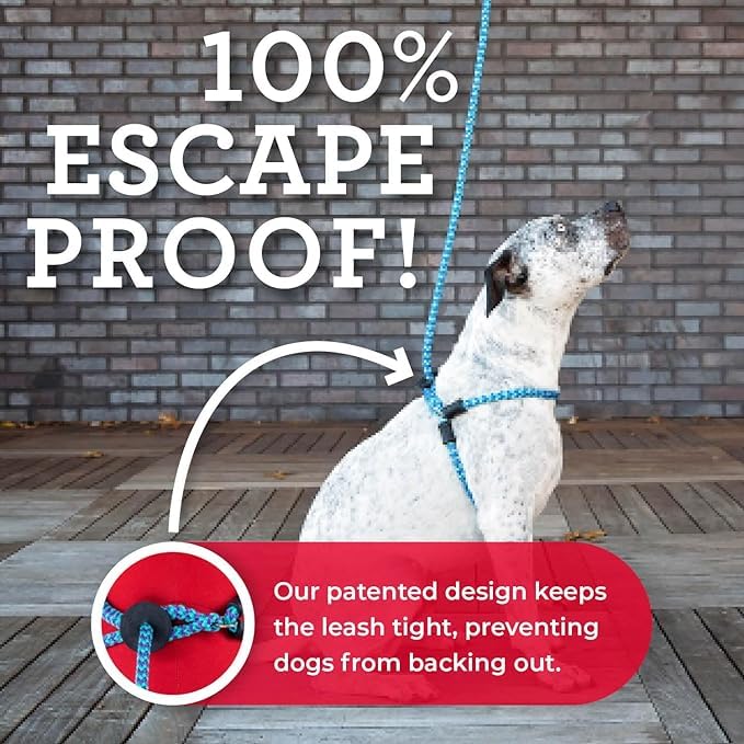 Harness Lead, diseño resistente a escapar, mantiene al perro seguro durante caminatas