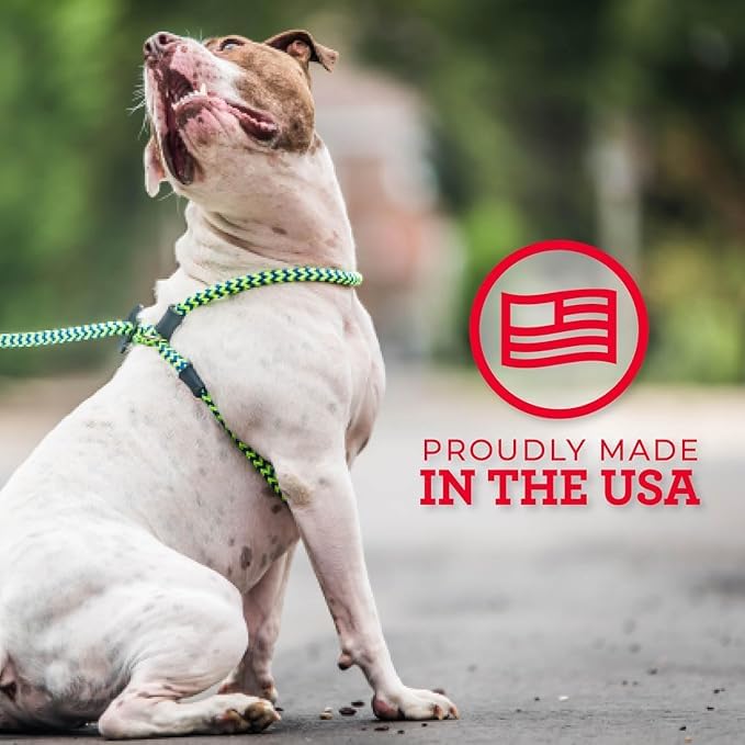 Harness Lead, hecho en EE. UU., duradero y confiable para entrenamiento