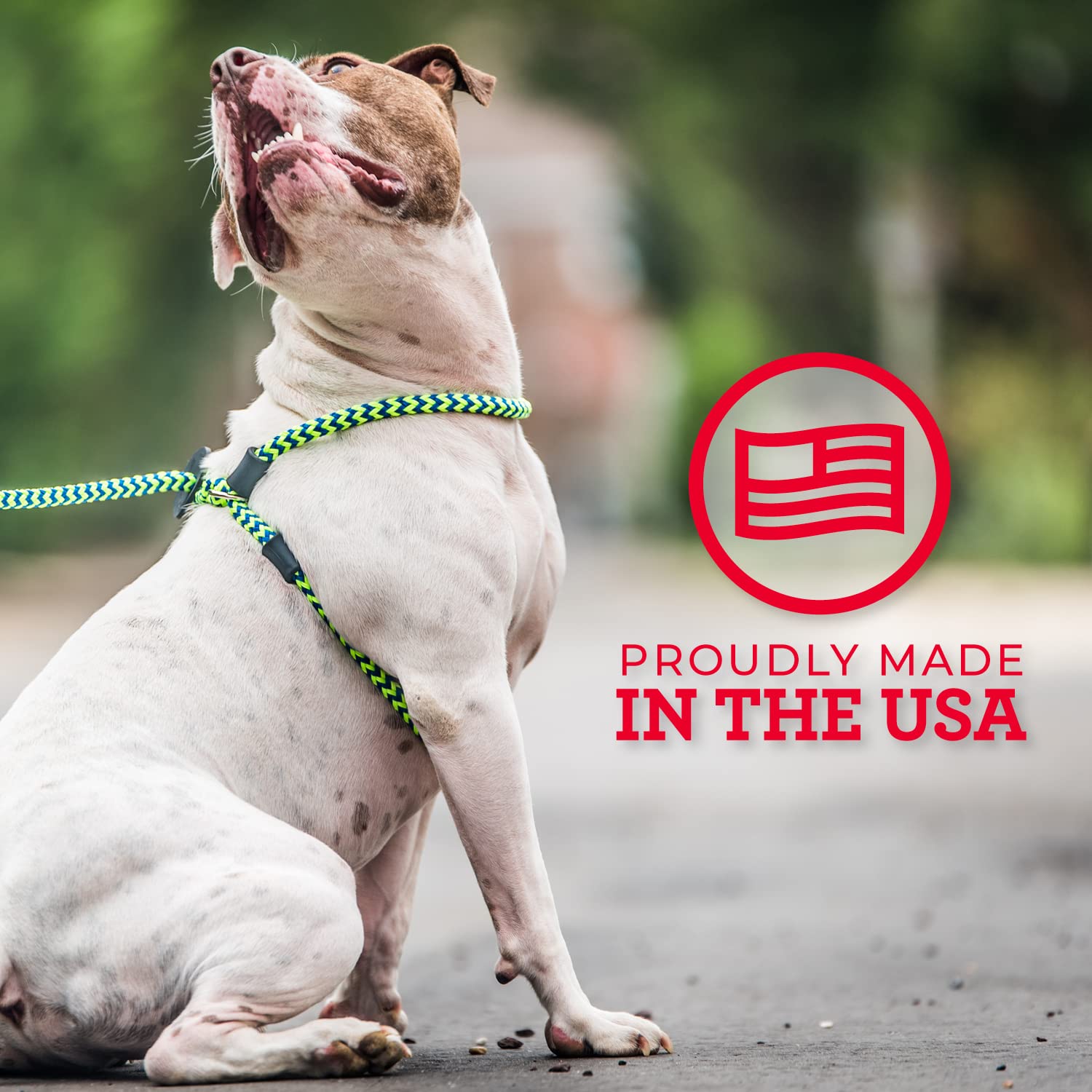Harness Lead: hecho en EEUU, garantía de calidad y soporte.
